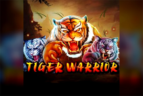 Tiger Warrior